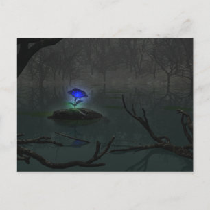 Blue Rose Postcard