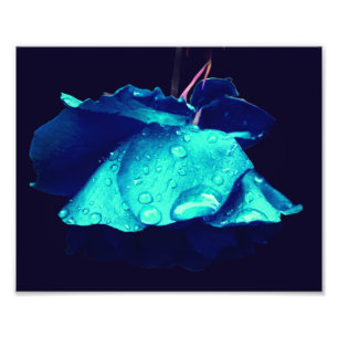 Blue Rose Raindrops Abstract Flower Art 8x10 Photo Print