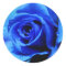 Blue rose sticker