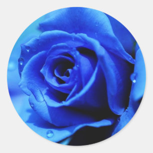 Blue rose sticker