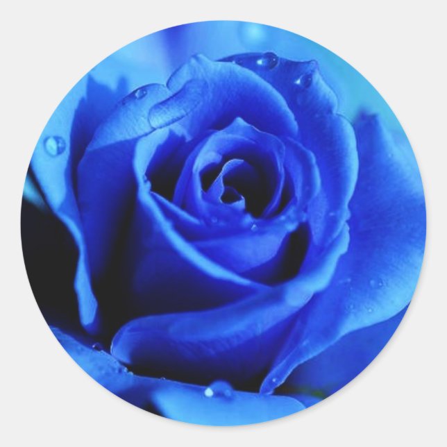 Blue rose sticker (Front)