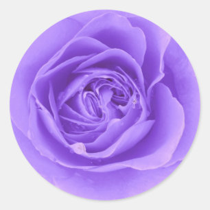 Blue Rose Sticker