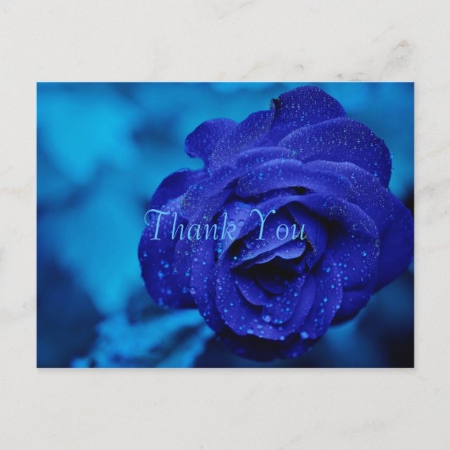 Blue Rose Thank You Postcard (Front)