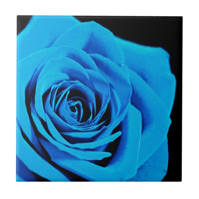 Blue rose tile (Front)