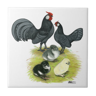 Blue Rosecomb Family Tile