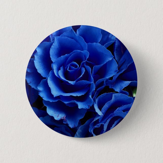 Blue roses flowers plant romance button (Front)