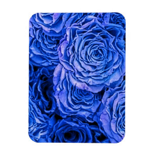 Blue Roses Magnet
