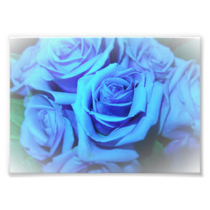 Blue Roses Photo Print