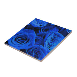 Blue Roses Tile