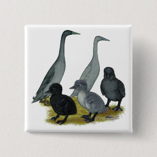 Blue Runner Duck Family 15 Cm Square Badge
