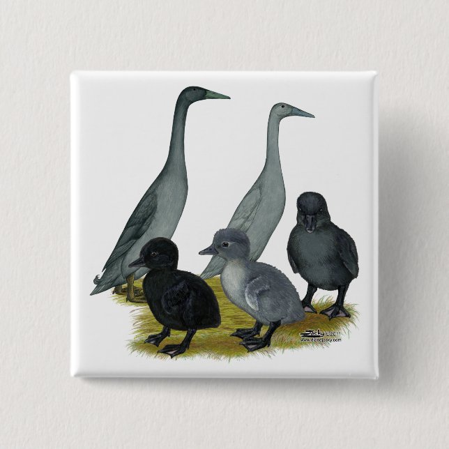 Blue Runner Duck Family 15 Cm Square Badge (Front)