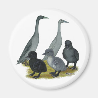 Blue Runner Duck Family Magnet