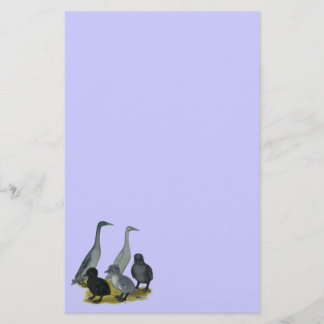 Blue Runner Duck Family Stationery