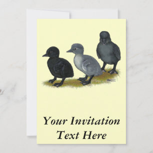 Blue Runner Ducklings Invitation