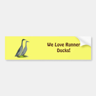 Blue Runner Ducks Bumper Sticker