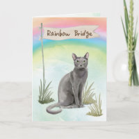 Blue Russian Cat Pet Sympathy Over Rainbow Bridge