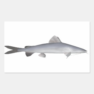 Blue Salmon Catfish Rectangular Sticker