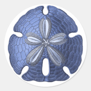 Blue Sand Dollar Classic Round Sticker