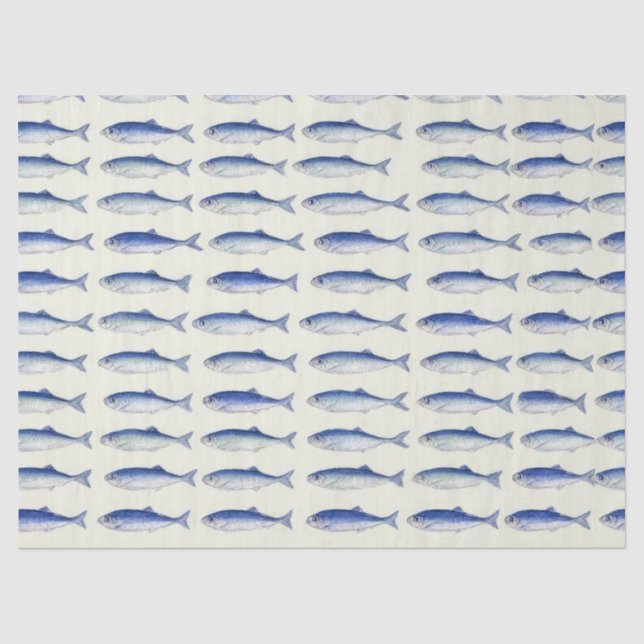 Blue Sardines Horizontal Minimal Coastal Pattern Tissue Paper (Front)