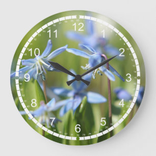 Blue Scilla clock