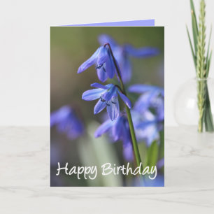 Blue Scilla siberica (Wood Squill) Flowers Card