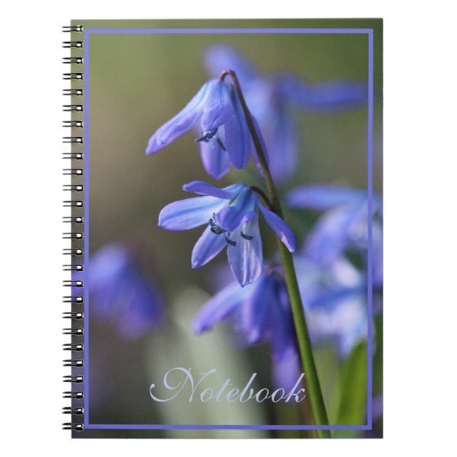 Blue Scilla siberica (Wood Squill) Flowers Notebook (Front)