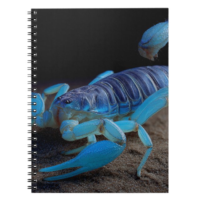 Blue Scorpion Glow Notebook (Front)