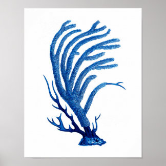 Blue Sea Coral print #2 Coastal Wall Art Decor