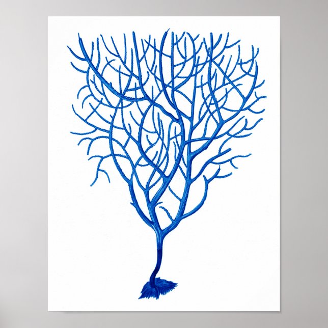 Blue Sea Fan Art Print # 6 Beach theme decor (Front)