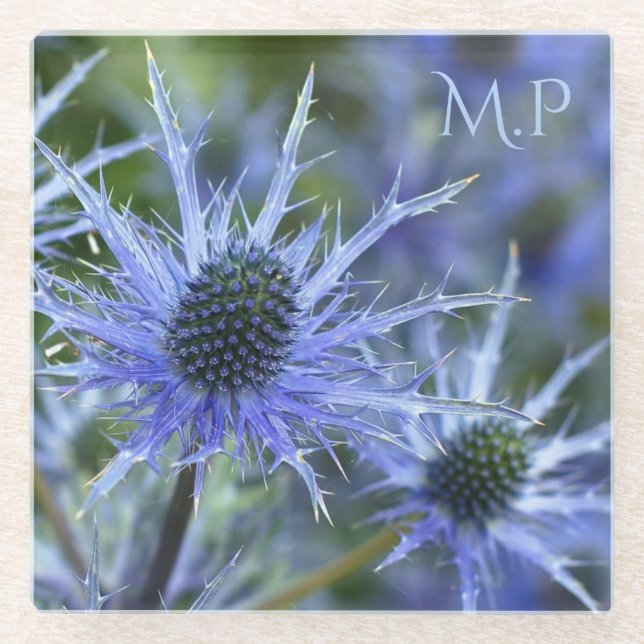 Blue Sea Holly Thistle Monogram Glass Coaster (Front)