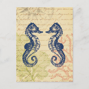 Blue Sea Horses Collage Postcard