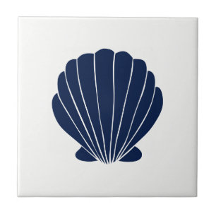 Blue Sea Shell on White Ceramic Tile