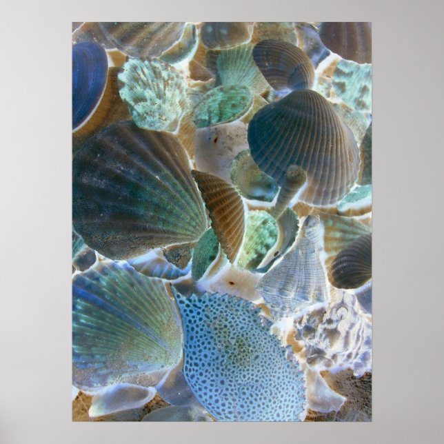 Blue Sea Shells Canvas Art Poster (Front)
