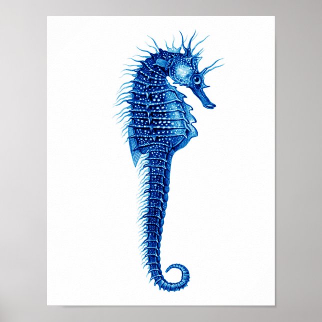 Blue Seahorse Art Print no.1 Beach Wall Art Decor (Front)