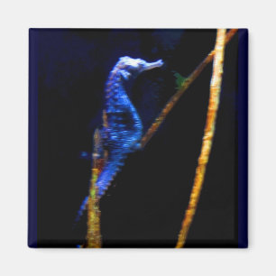 Blue Seahorse CB Magnet