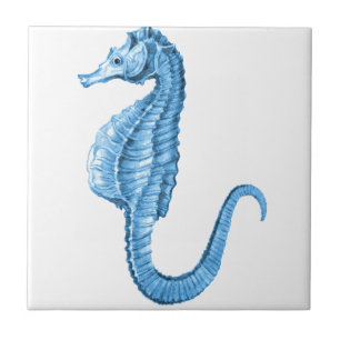 Blue seahorse coastal nautical ocean beach tile
