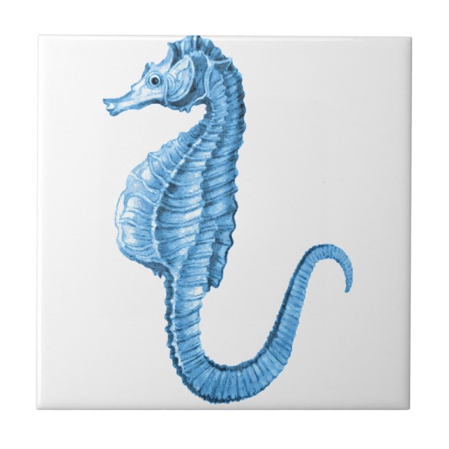 Blue seahorse coastal nautical ocean beach tile (Front)
