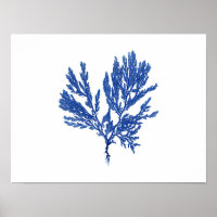 Blue Seaweed #4 42x32cm