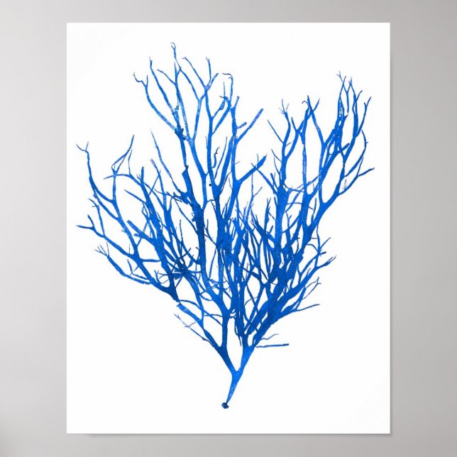 Blue Seaweed Print No. 10 Coastal Botanical Print. (Front)