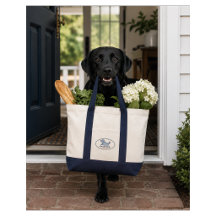 Blue Seersucker Coastal Dog 