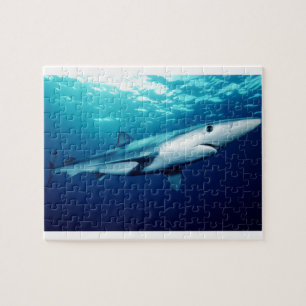 Blue Shark Jigsaw Puzzle