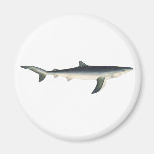 Blue Shark, Vintage Aquatic Ocean Marine Life Magnet