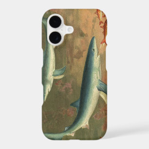 Blue Sharks Eating Fish, Vintage Marine Life