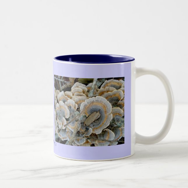 Blue Shelf Fungus Mug (Right)