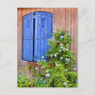 Blue shutters and flowers postcard