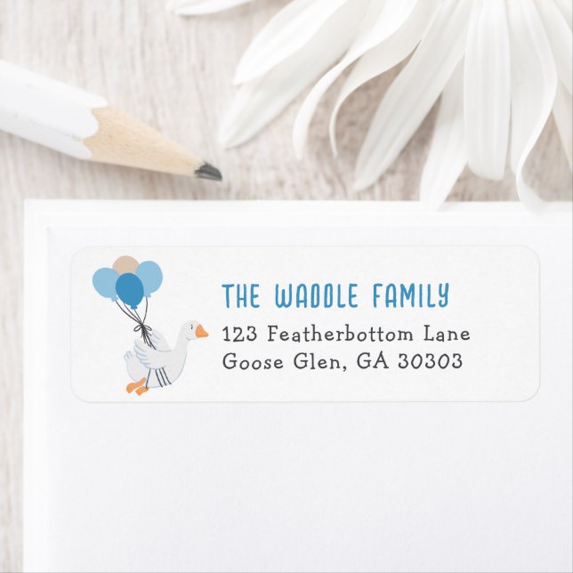 Blue Silly Goose Address Return  (Insitu)