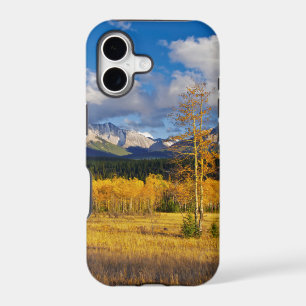 Blue skies and clouds above a meadow