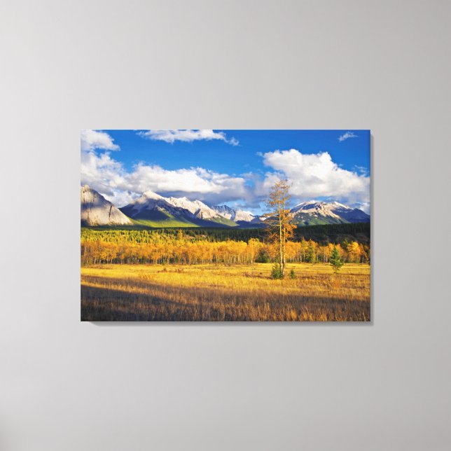 Blue skies and clouds above a meadow canvas print (Front)