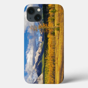 Blue skies and clouds above a meadow iPhone 13 case