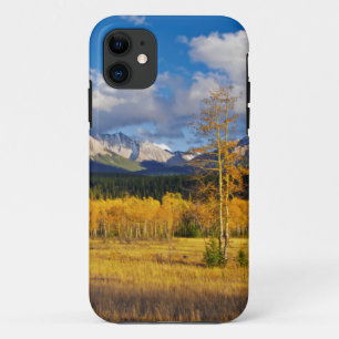 Blue skies and clouds above a meadow iPhone 11 case